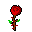 Mud rose red.png