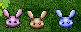 Rabbits.png